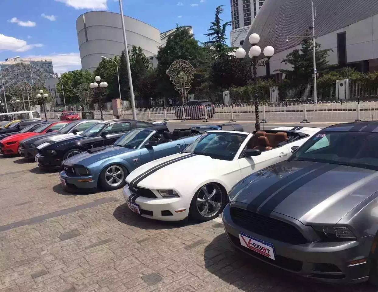 241126_111424_6918.jpg 26.jpg